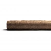 Aladino Corojo Gordo Cigar - 1 Single